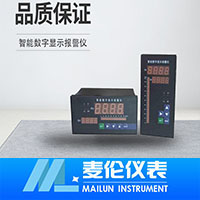 <b>智能數(shù)字顯示報警儀</b>
